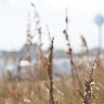 Rodanthe #2 8x12 Archival Print