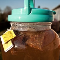 Sun Tea 8x12 Archival Print