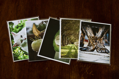Pack of 5 5x7 Postcards