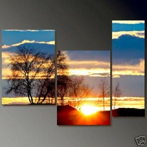 Sunset Trees
