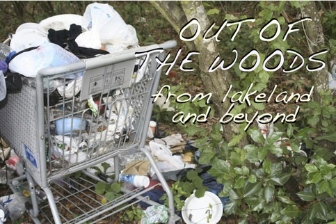 "Out Of The Woods" DVD
