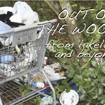 "Out Of The Woods" DVD