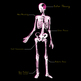 The New Biology - Thumbnail 2