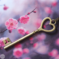 Keytomyheart_medium