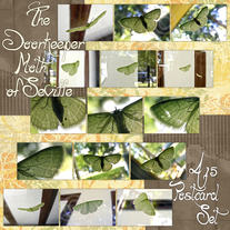 The Doorkeeper Moth of Seville Postcards - set of 15