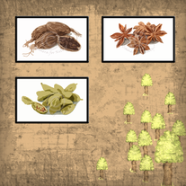 Ingredients for Absinthe print set