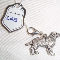 Lab_charm_pewter_medium