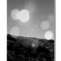 Moon_medium