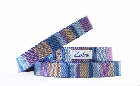 Two_blue_leash_cb_small_large