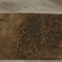 thistle tee