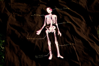 The New Biology