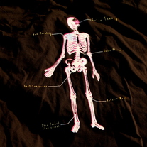 The New Biology