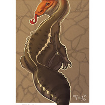 "Texas Fat-tail" Print