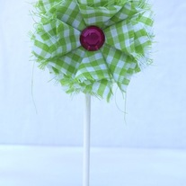 Watermelon Lollie