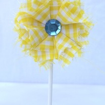 Sunshine Lollie