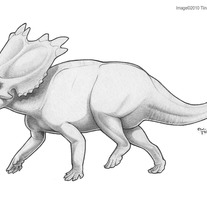 "Mojoceratops" Original