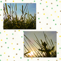 Sunrise, Sunset Optical Illusion Print Set