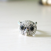 Owl1_medium