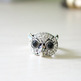 Owl1_small