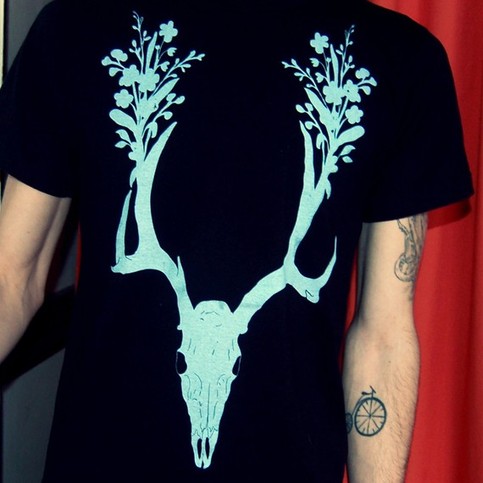 Antler1_large