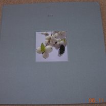 Kom Berry White /100 LP Clear 180 Gram W/Book Cover VG+