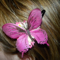 Dscn3954_medium