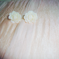 Dsc03523_medium