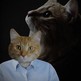 1980s Portrait Studio Cat 8x10 Wood Block Art Print - Thumbnail 1