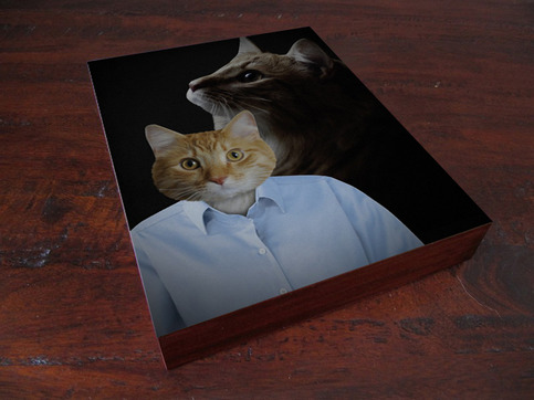 1980s Portrait Studio Cat 8x10 Wood Block Art Print