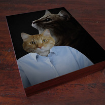 1980s Portrait Studio Cat 8x10 Wood Block Art Print