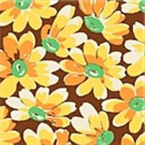 Fat Quarter- Windham Feedsack VI/309168