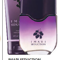 Imariseduction_medium