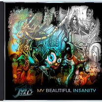 Jon Salt "My Beautiful Insanity" Album (CD)