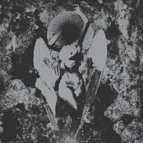 Converge / Dropdead Split 7"