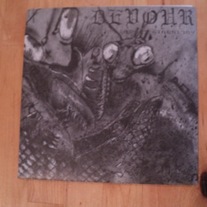 Devour - Insect Circuitry