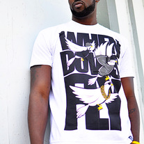Dove_1_medium