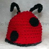 Little_20lady_20bug_20hat_20002a_medium