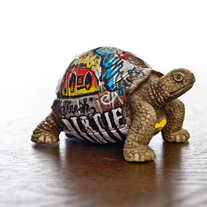 Graffitti_20turtle1_medium