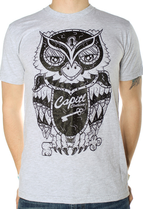 Owl1_large