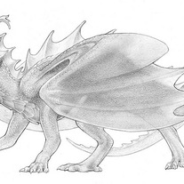 Poetic_dragon_medium