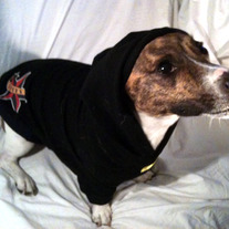 Jackiehoody_medium