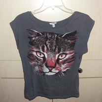 Catt_medium