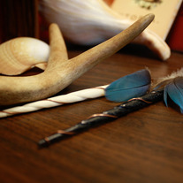 Feather and Horn Spear Earrings