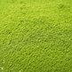 Matcha_japanese_green_tea_small