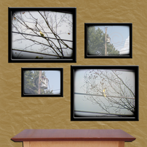 A Bird on a Wire Print Set