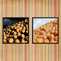 A Pile of Pumpkins Print Set