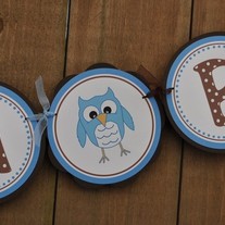 Owl_20banner_medium