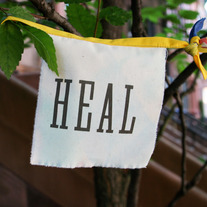 HEAL flag
