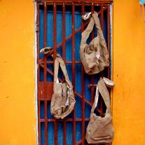 Img_4937_medium