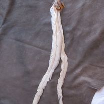 SAHARA Tan Feather Earring